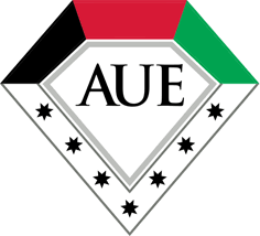 American University in the Emirates Logo